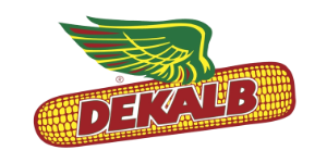 Logo cliente