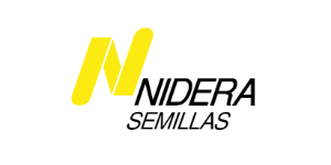 Logo cliente